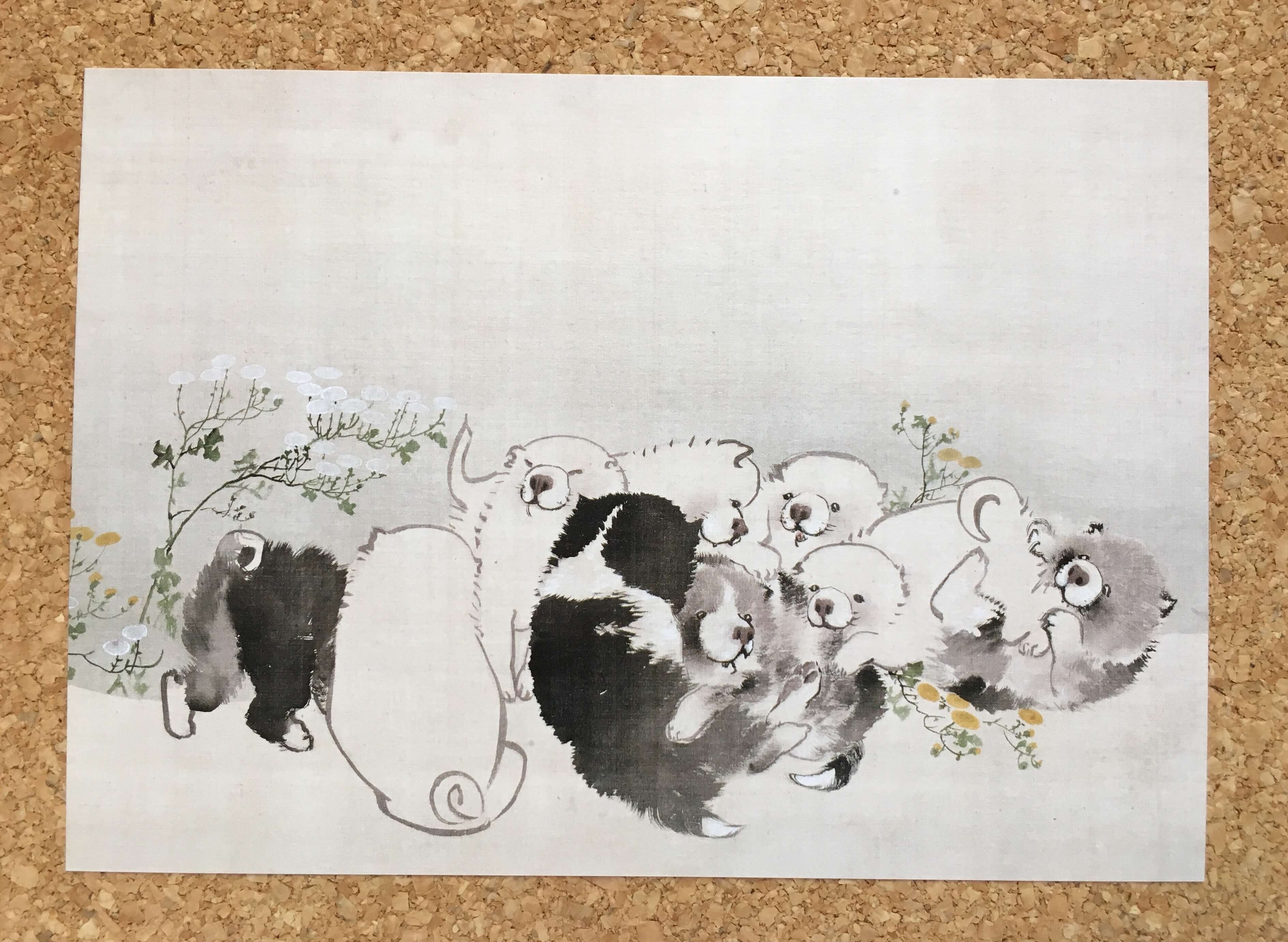 長沢蘆雪『菊花子犬図』