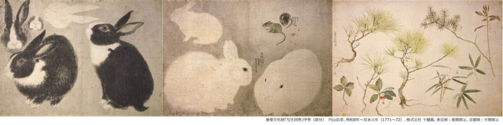 円山応挙 写生図鑑