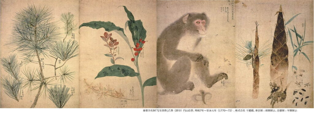 円山応挙 写生図鑑